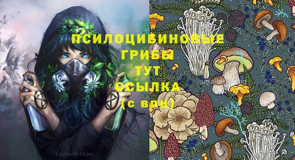 spice Осинники
