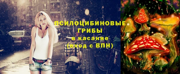 spice Осинники