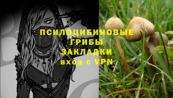 spice Осинники