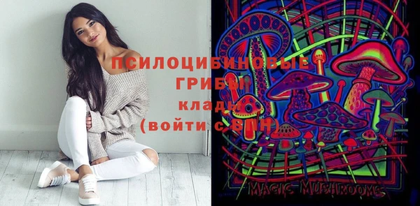 spice Осинники