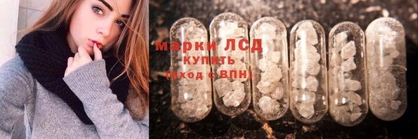 spice Осинники
