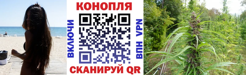 сколько стоит  Вологда  Канабис Amnesia 